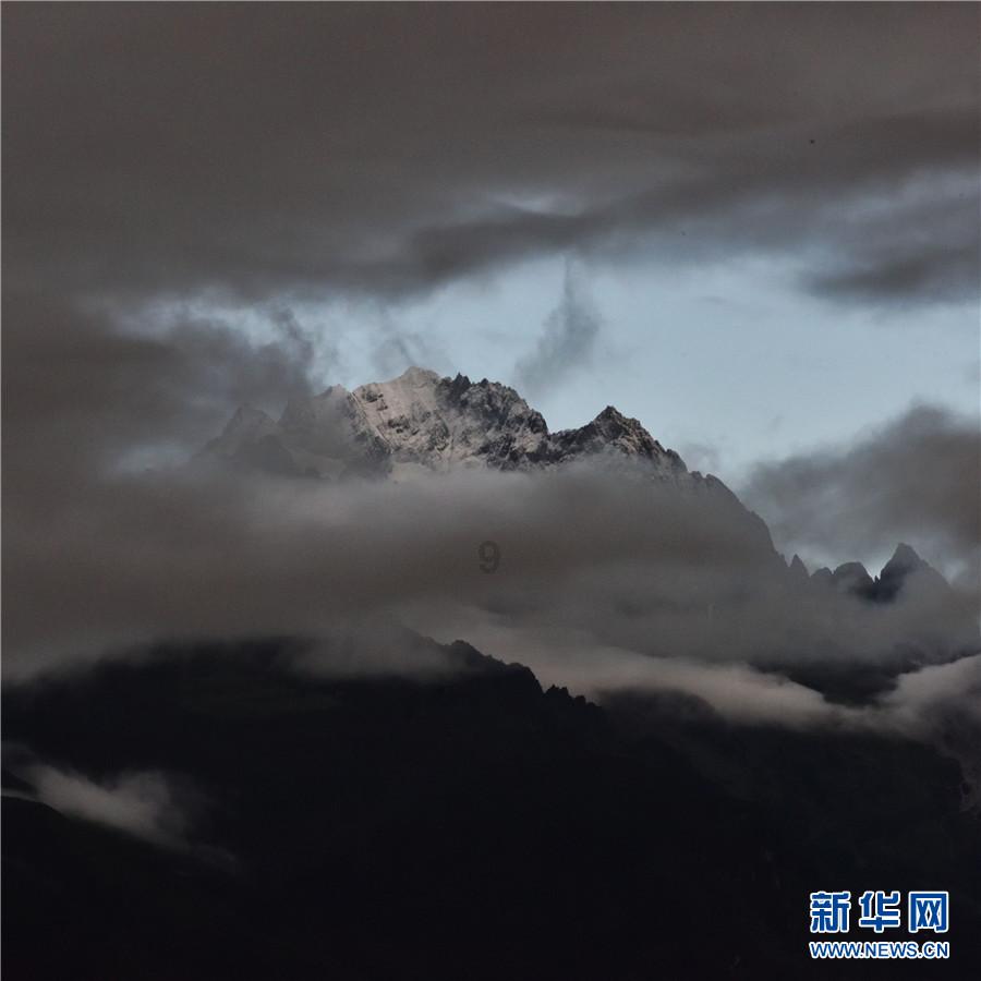 丧尸派对哪些丧尸值得培养游戏画面